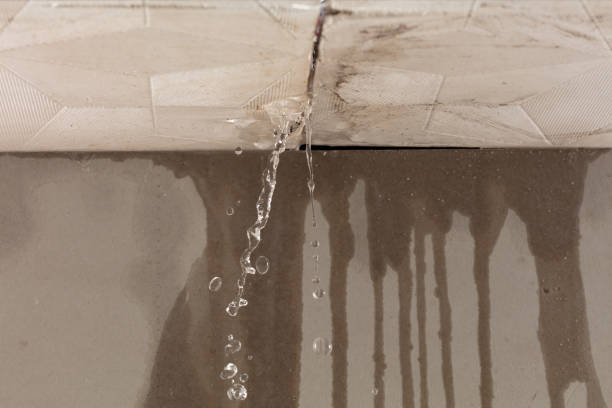 Professional Structural Drying technician working in Montezuma, OH